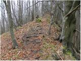 Borovec pri Kočevski Reki - Krempa